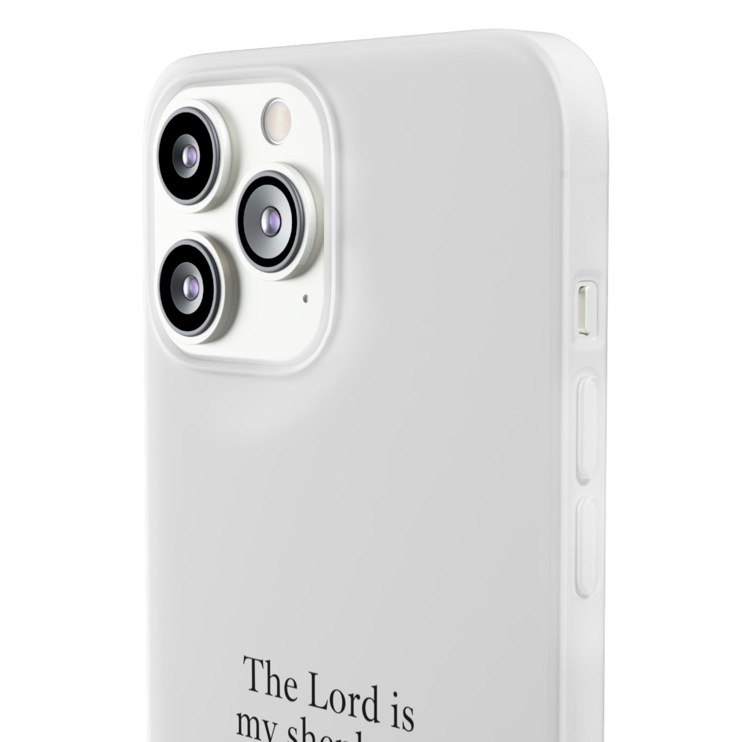 Pslam 23 Case